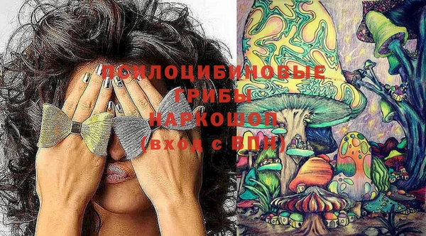 тгк Ступино
