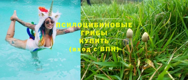 тгк Ступино