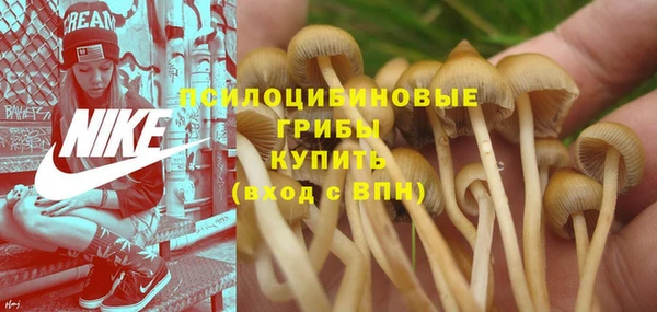 Альфа ПВП Струнино