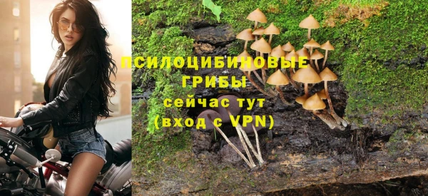 кокс Армянск