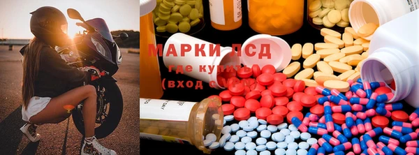 каннабис Аркадак